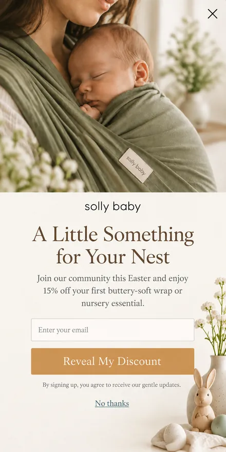 Email signup popup on a phone