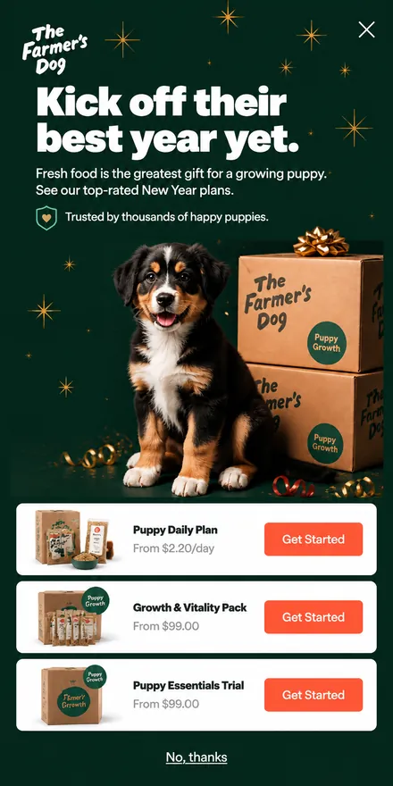 Add-to-order upsell popup on a phone