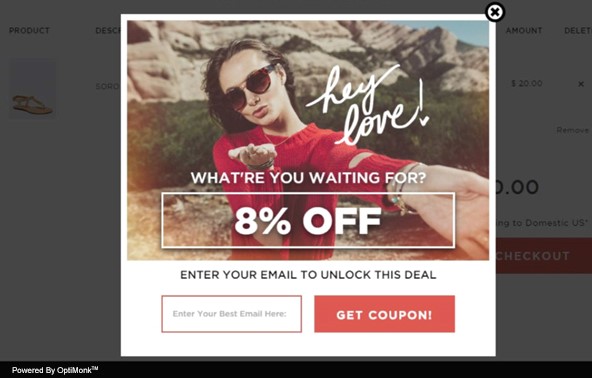 25+ Best Ecommerce Personalization Tips and Tools zoohoo personalization popup - 25+ Best Ecommerce Personalization Tips and Tools
