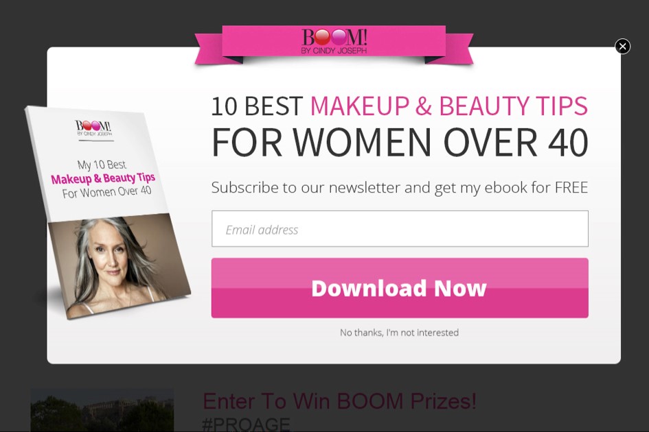 1-optimonk-ebook-popup-for-early-stage-visitors