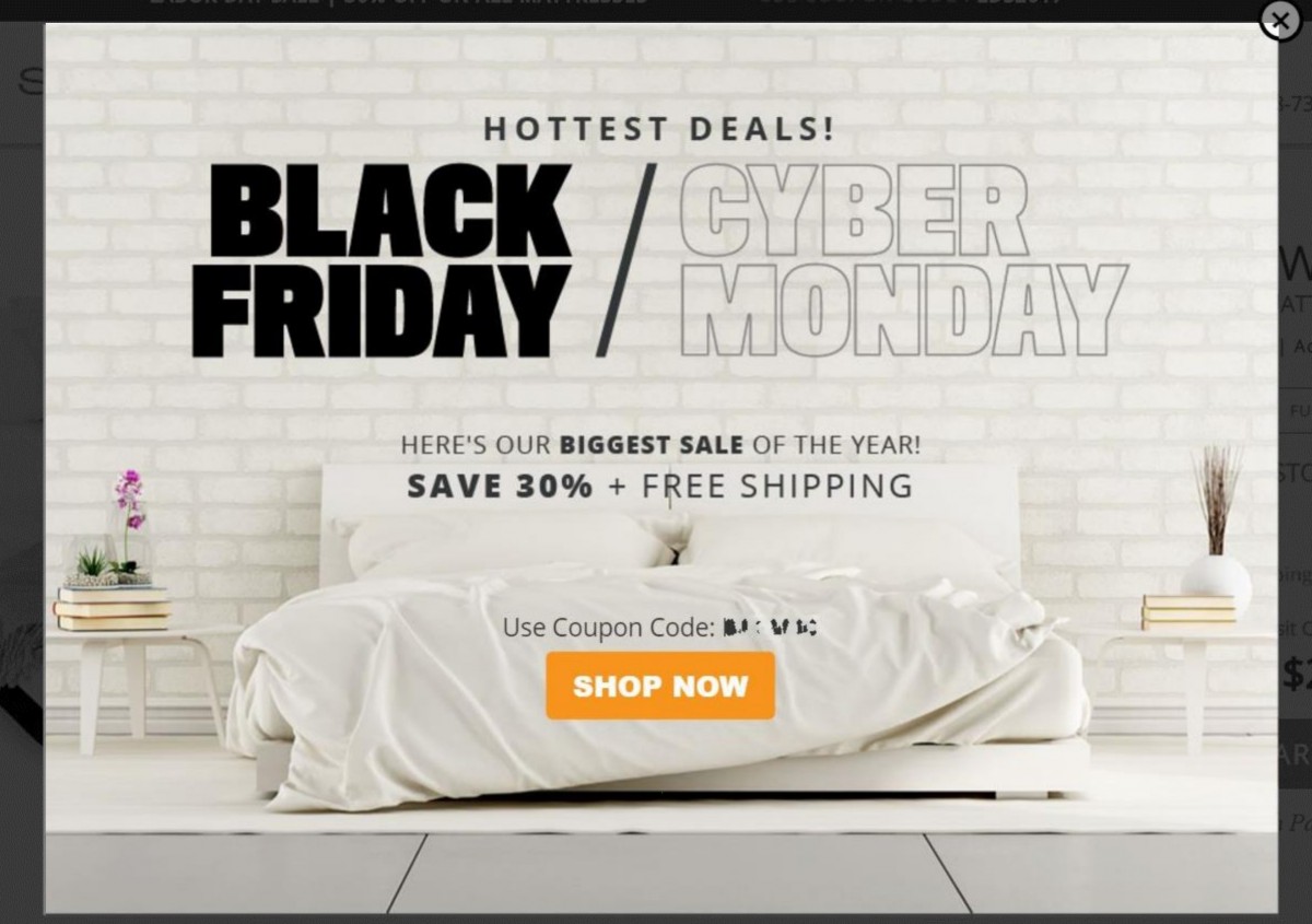 black friday popup campaign