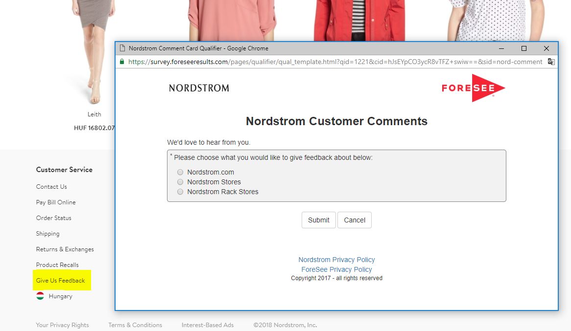 Customer feedback form, Nordstorm’s portal for customer complaints