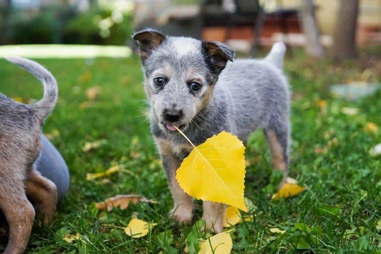 Marketing duffy brook 350227 unsplash 768x513 - Marketing