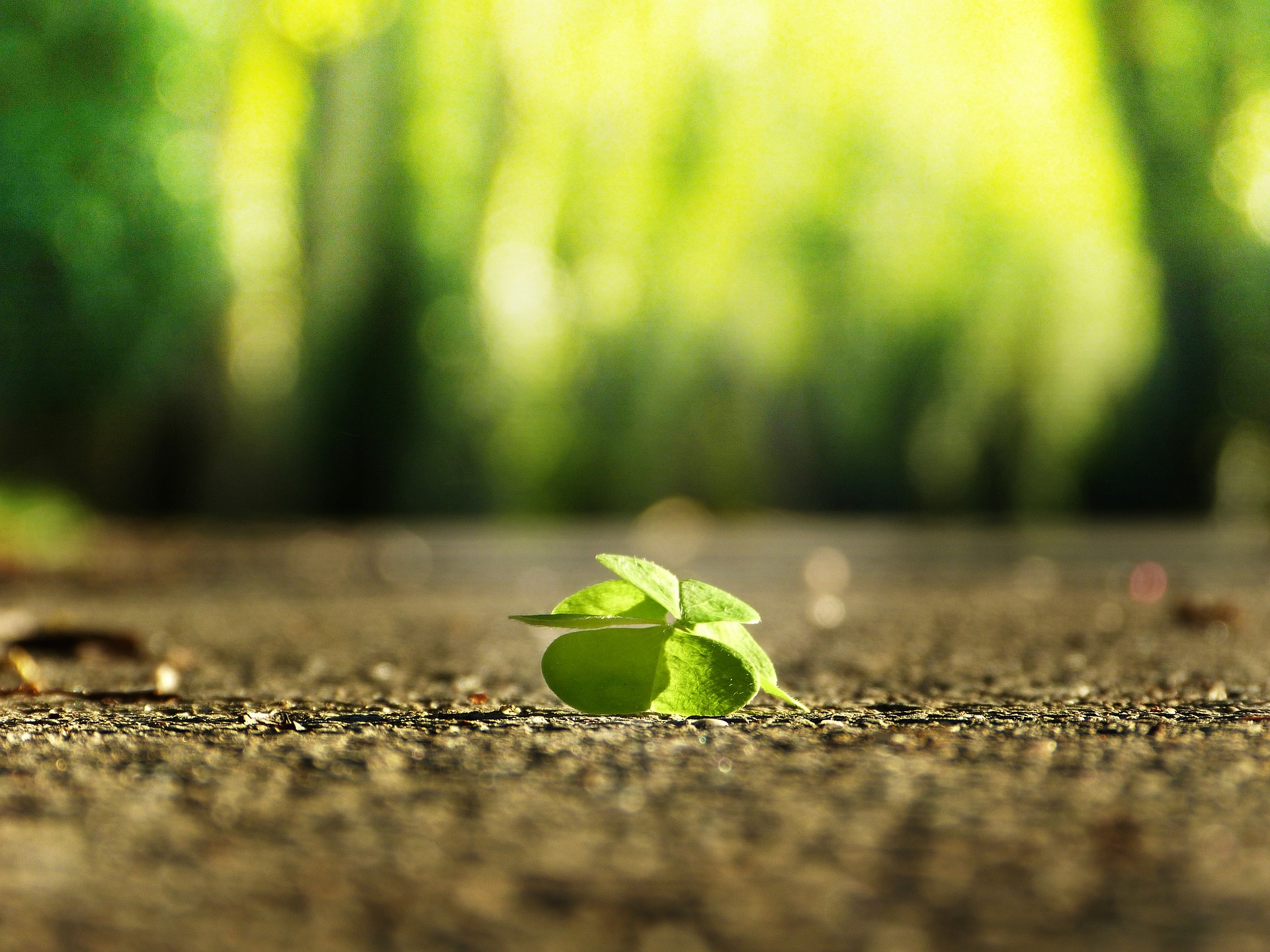 Get More From Your Website With Conversion Optimization