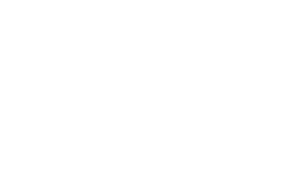Lead Generation for Etailers Case studies babyberry trans logo - Lead Generation for Etailers Case studies