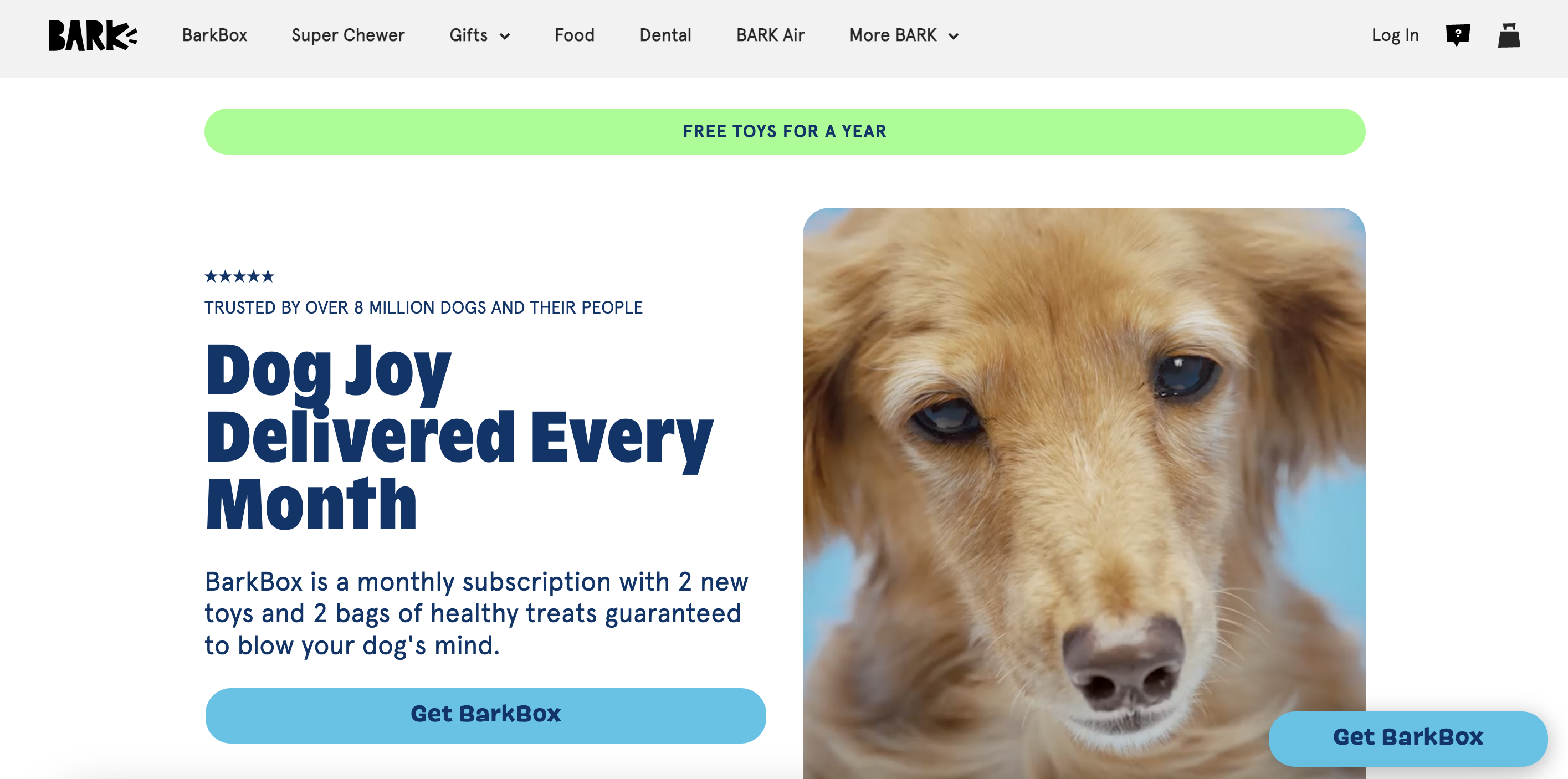 Dog joy delivered every month