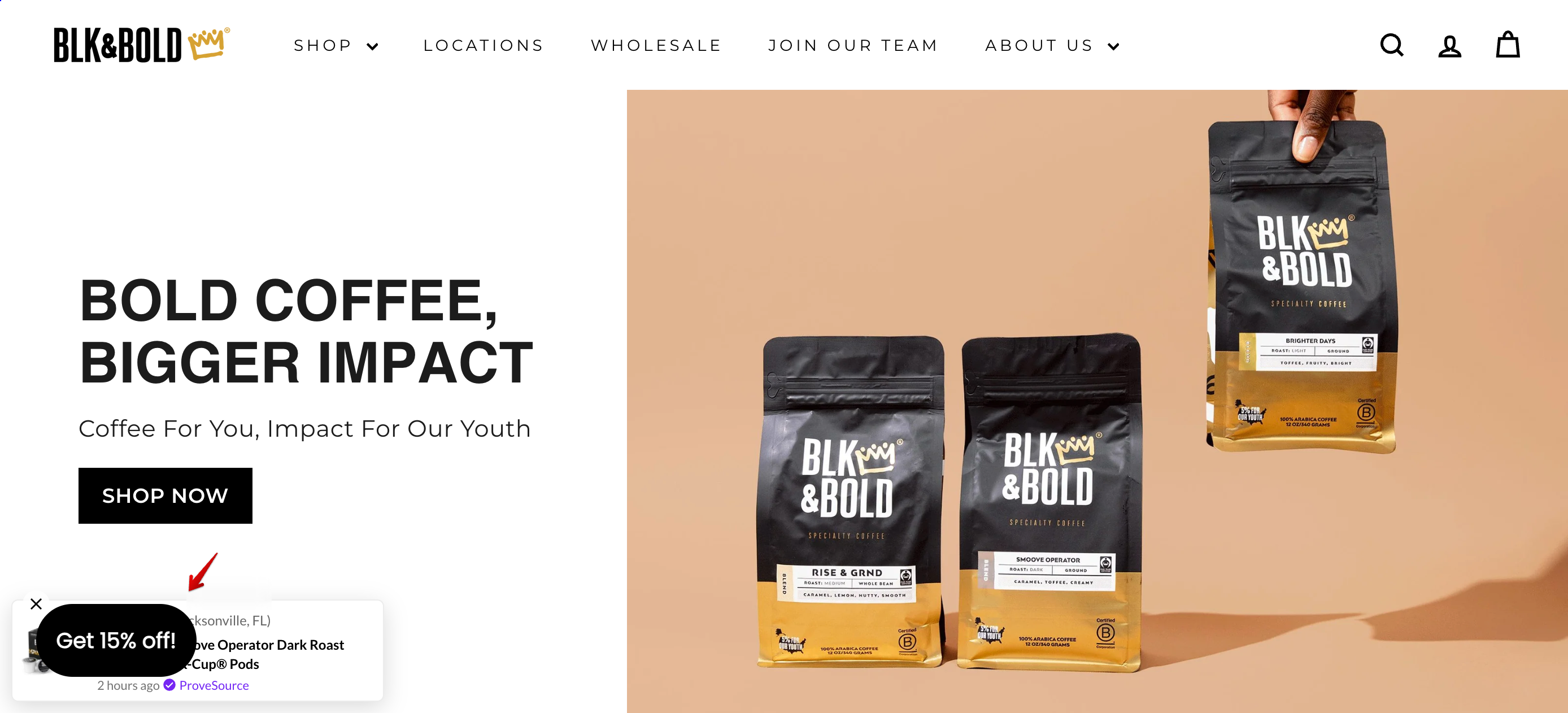 BLK&BOLD sign up form examples the power of teasers.
