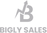 Bigly Sales