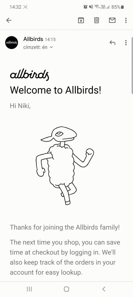 Allbirds fun brand identity in email