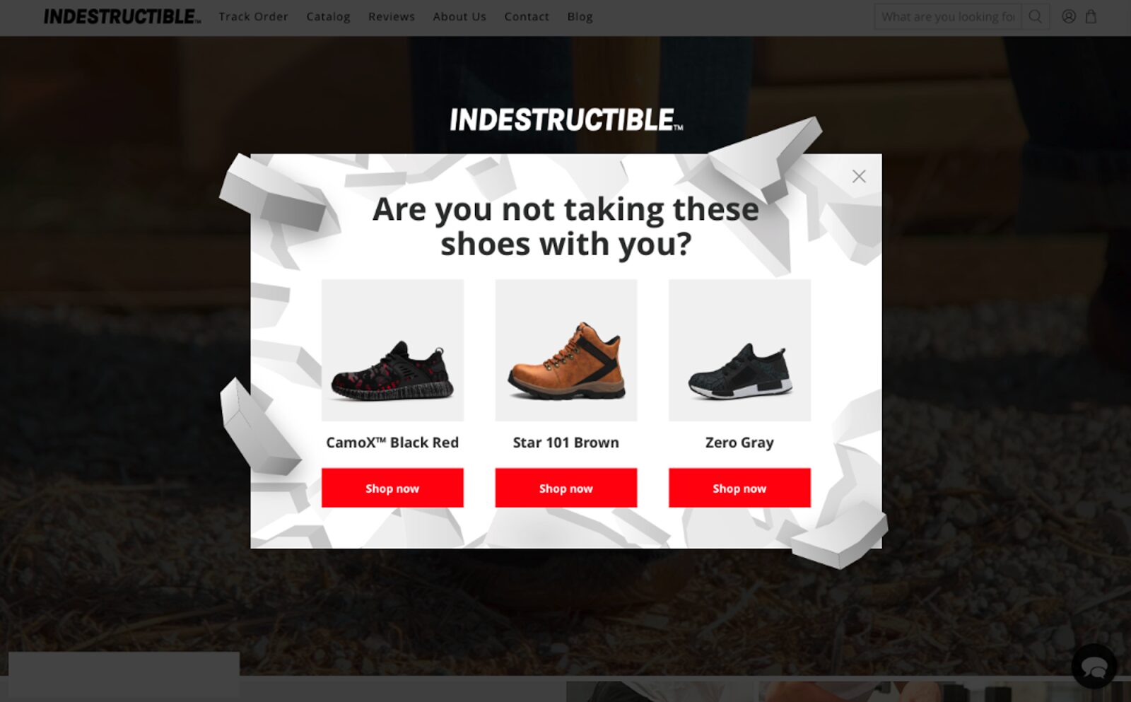 Product recommendations on autopilot to maximize conversions.