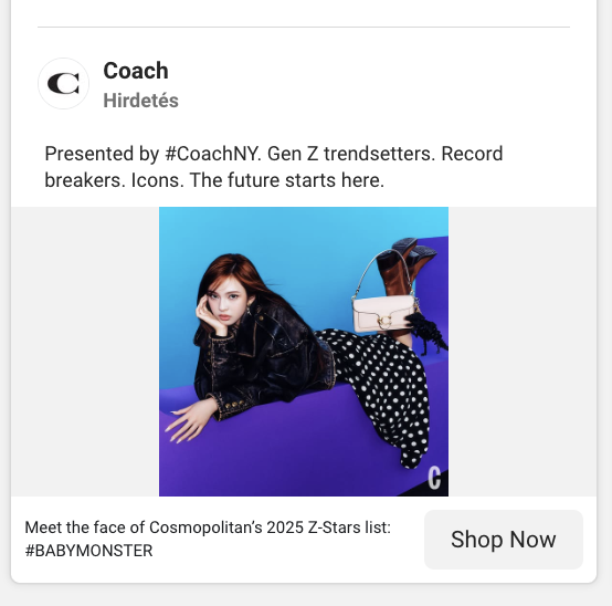 Coach Facebook advertisement