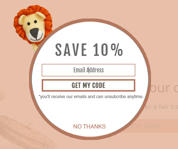 Which Popups Are Most Important for Shopify? 6 Types You Need bebemoss 10 coupon - Which Popups Are Most Important for Shopify? 6 Types You Need