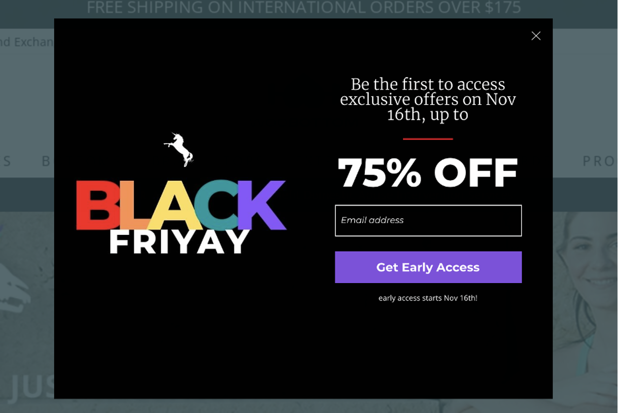 Email popup promoting Black Friday promotions