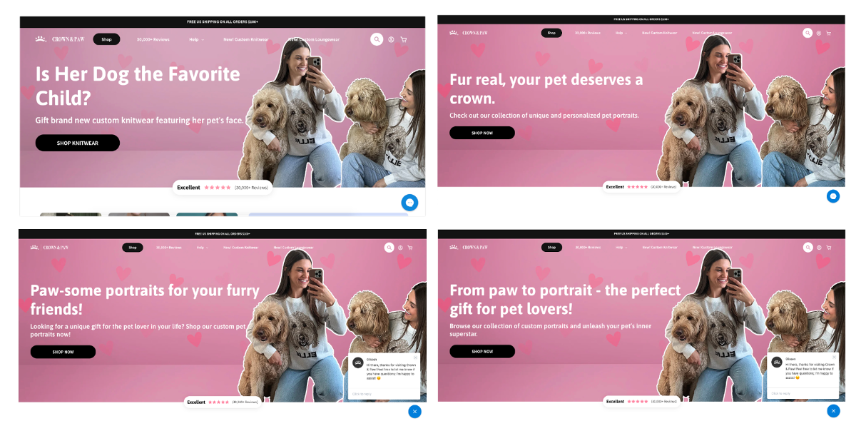 Crown & Paw website A/B test
