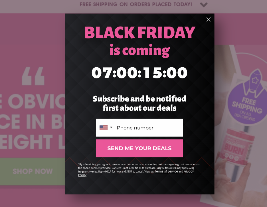 Obvi Black Friday popup example