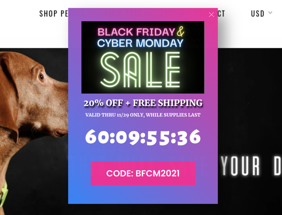 12 Black Friday Popup Examples to Promote Your Sale black friday popup 04 - 12 Black Friday Popup Examples to Promote Your Sale