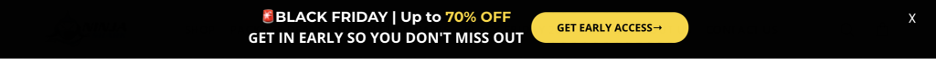Black Friday popups example