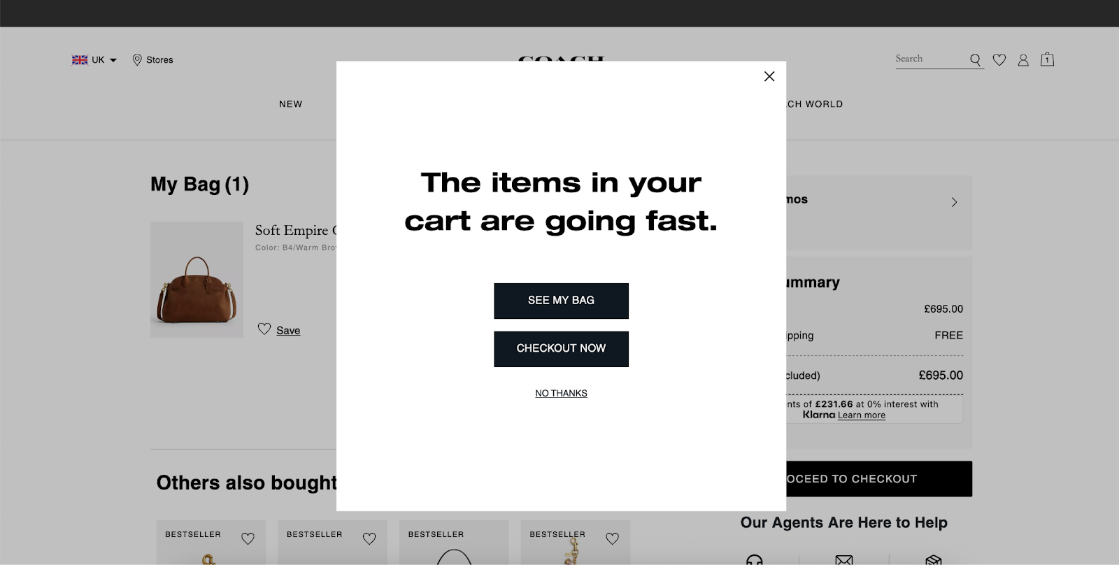 Coach: cart abandonment popup