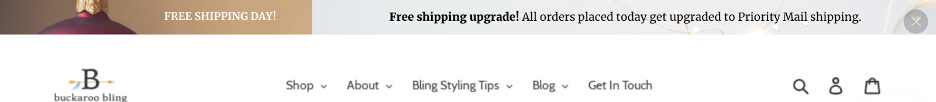 Free shipping Christmas marketing campaign