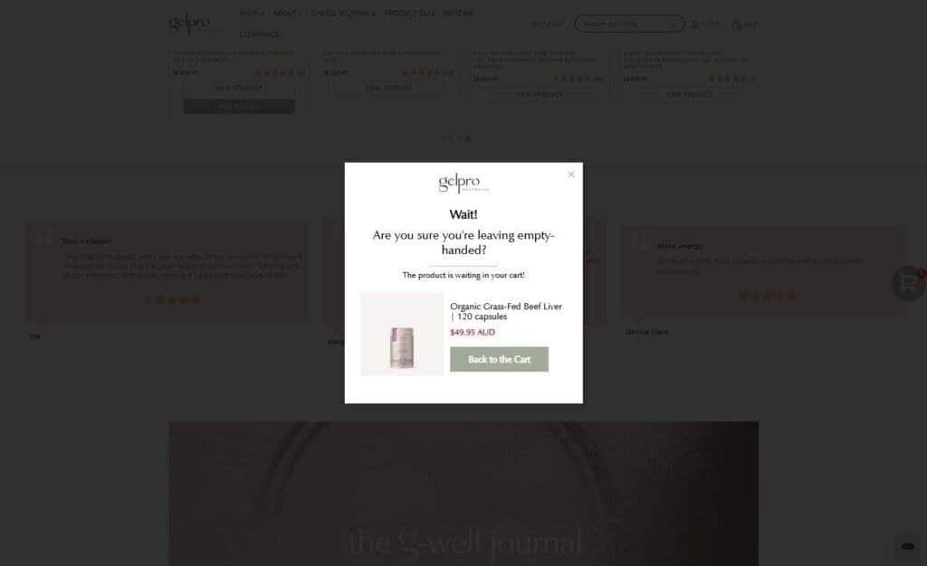 10+ Ecommerce Conversion Rate Optimization Examples You Can Learn From