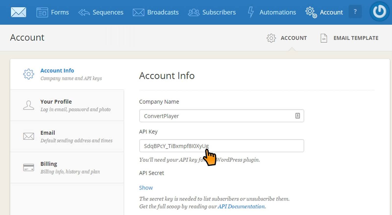 Copy your API key