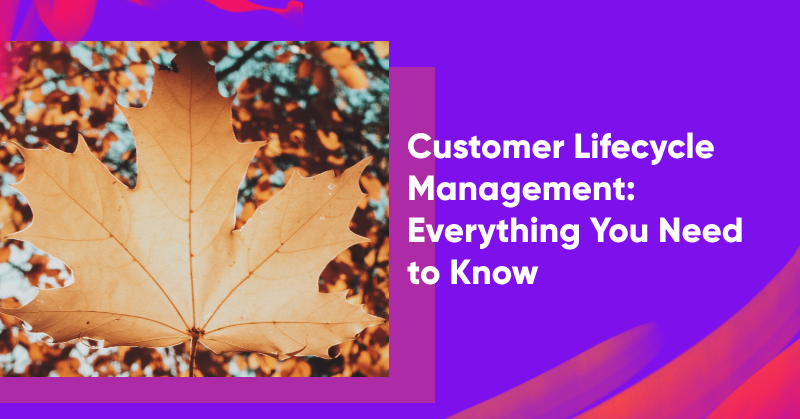 Customer Lifecycle Management: Everything You Need to Know