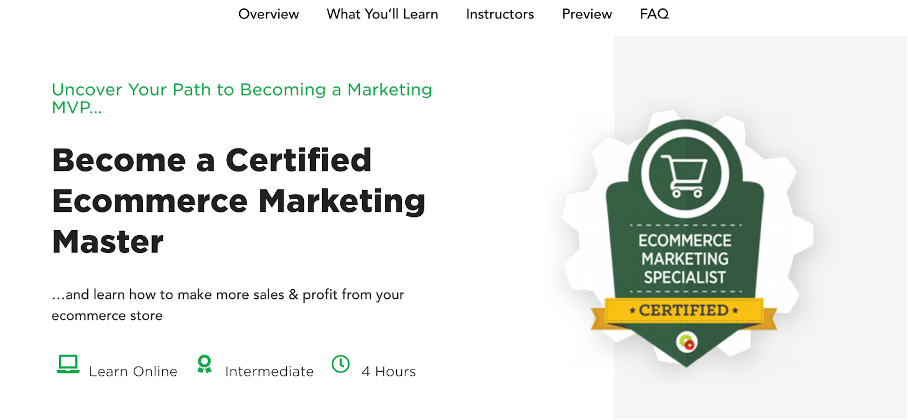 Ecommerce Marketing Mastery course for marketing professionals