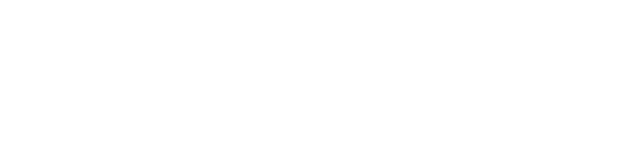 Ecommerce Revolution