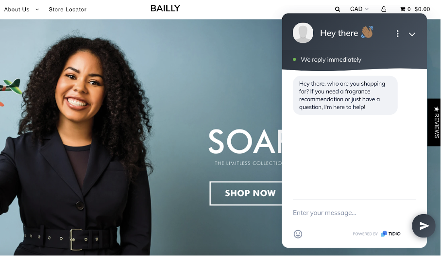 Bailly ecommerce business live chat