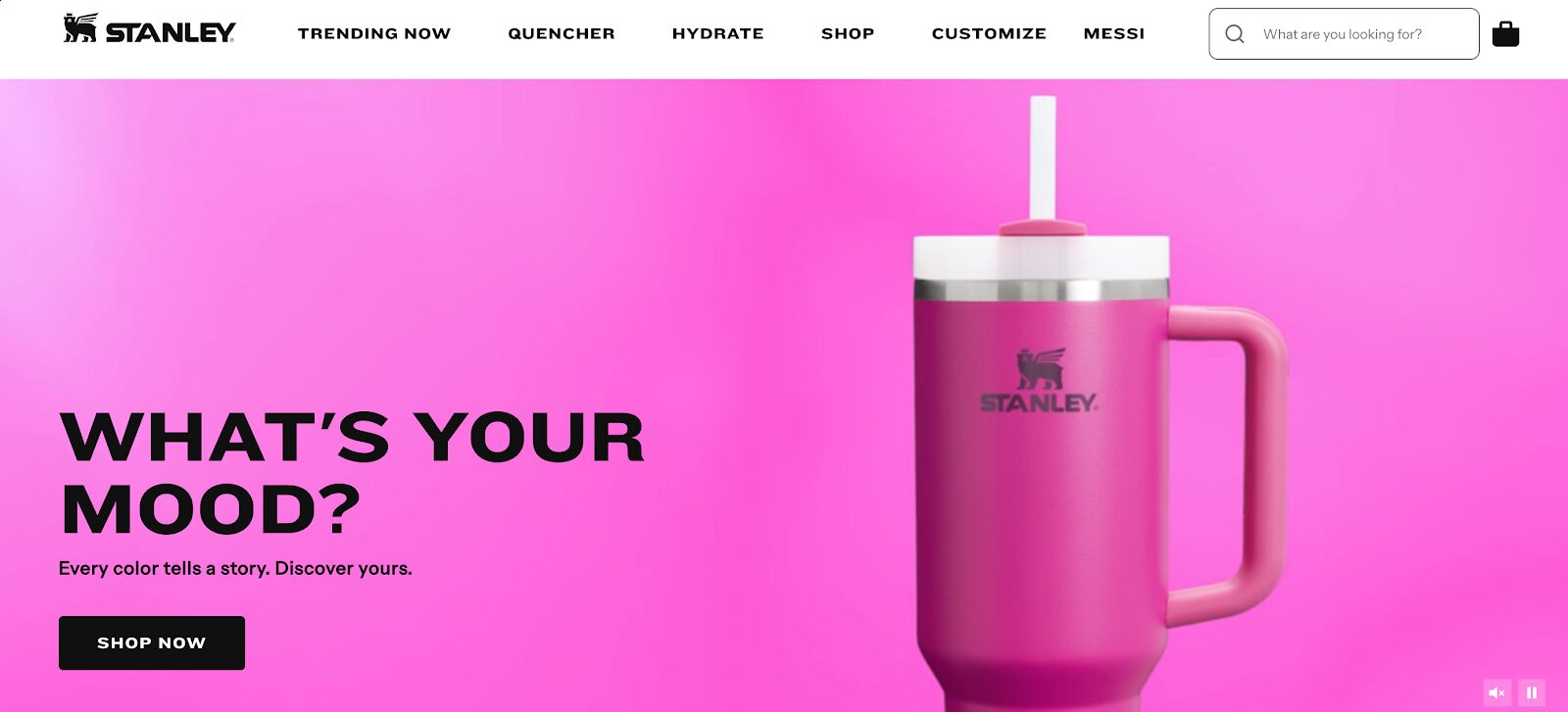 Stanley home page