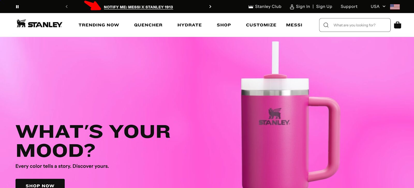 Stanley home page
