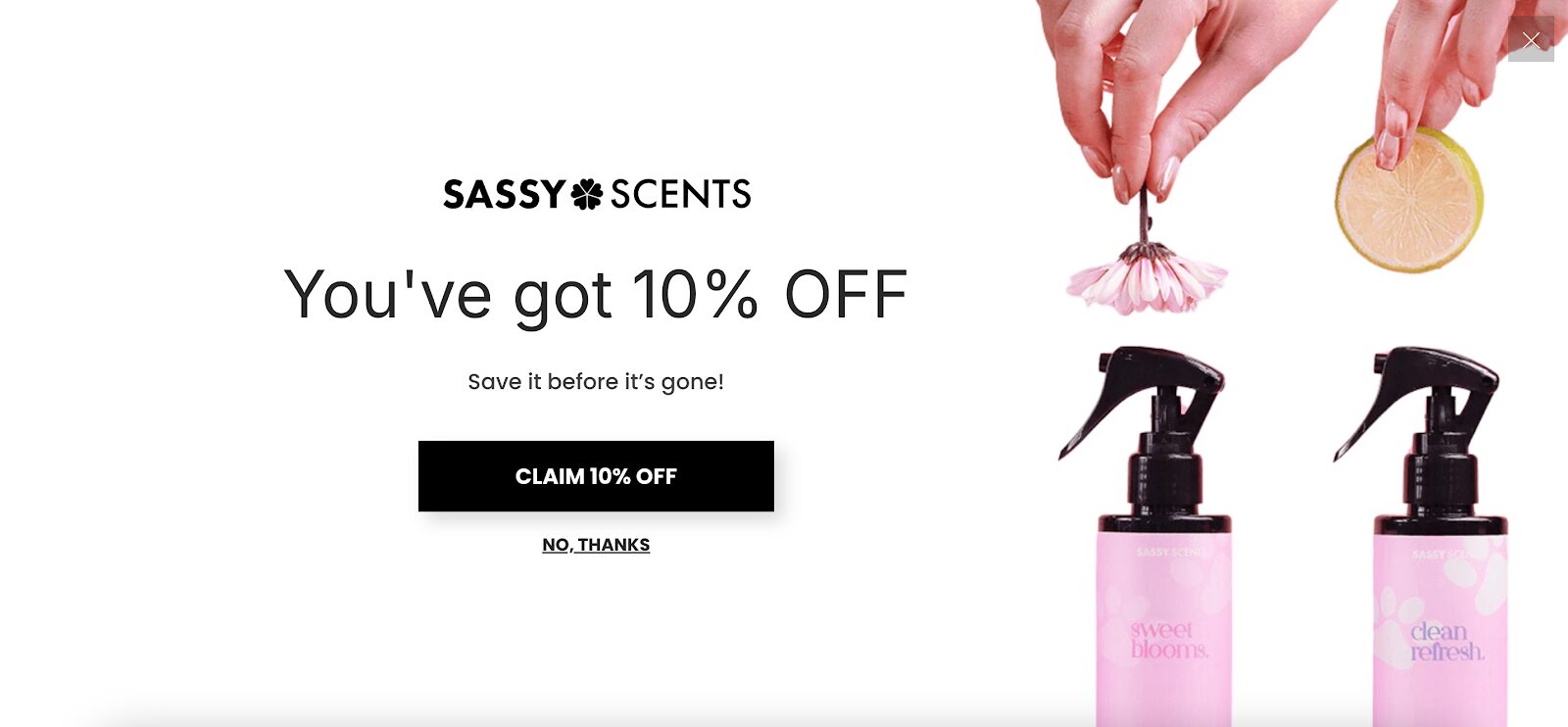 Sassy Scents exit intent popup is a good example for a full screen popup with the right message.