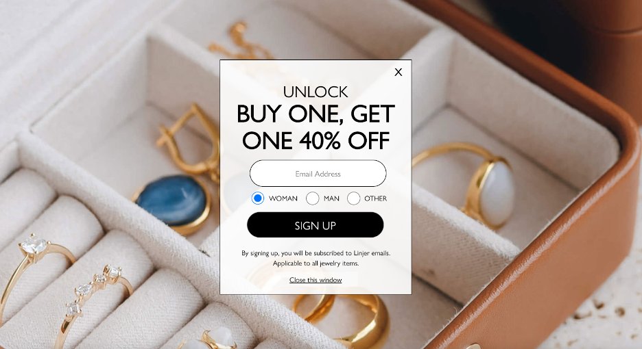 An email signup popup from Linjer