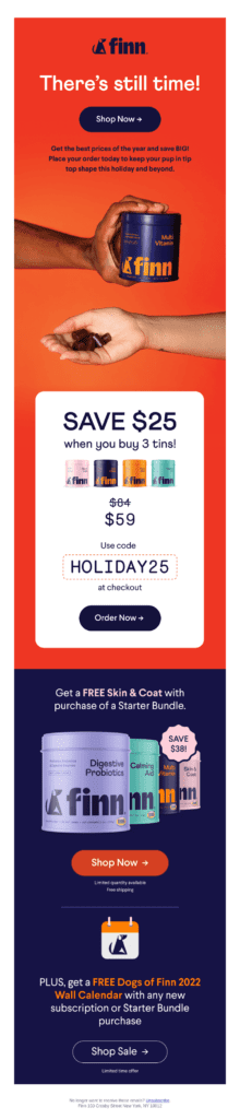 Finn holiday email marketing campaign