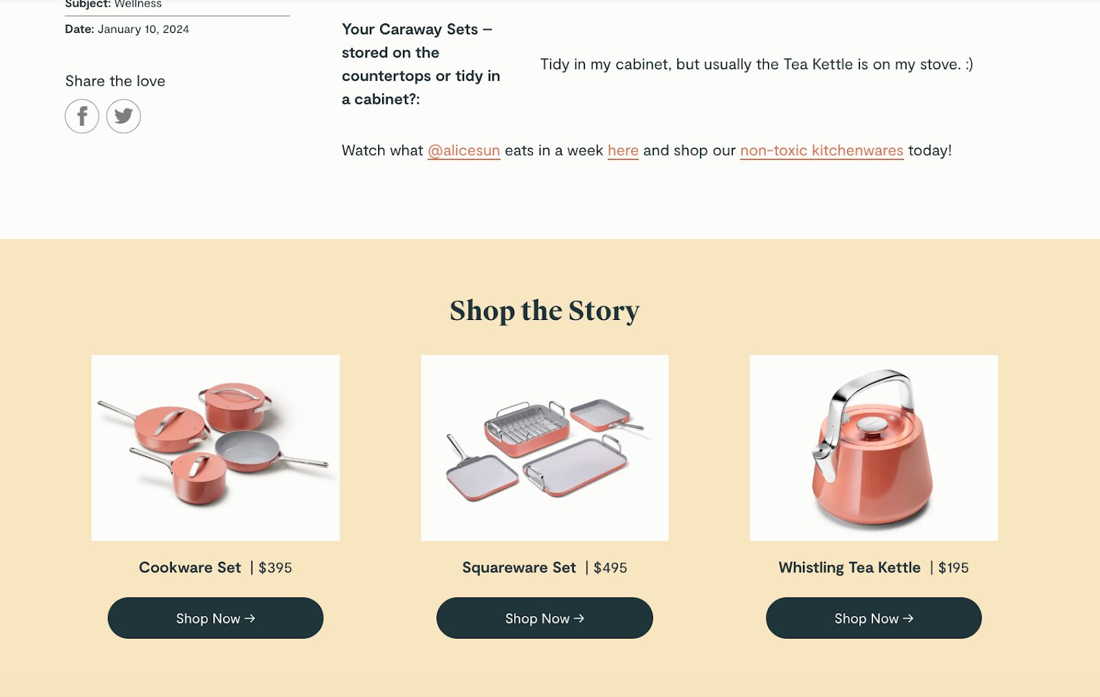 Caraway own blog offer premium content and product recommendation to their target audience.