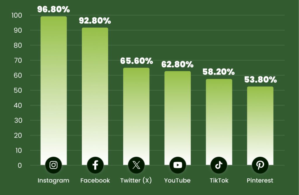 Top social media channels among Shopify stores in 2025