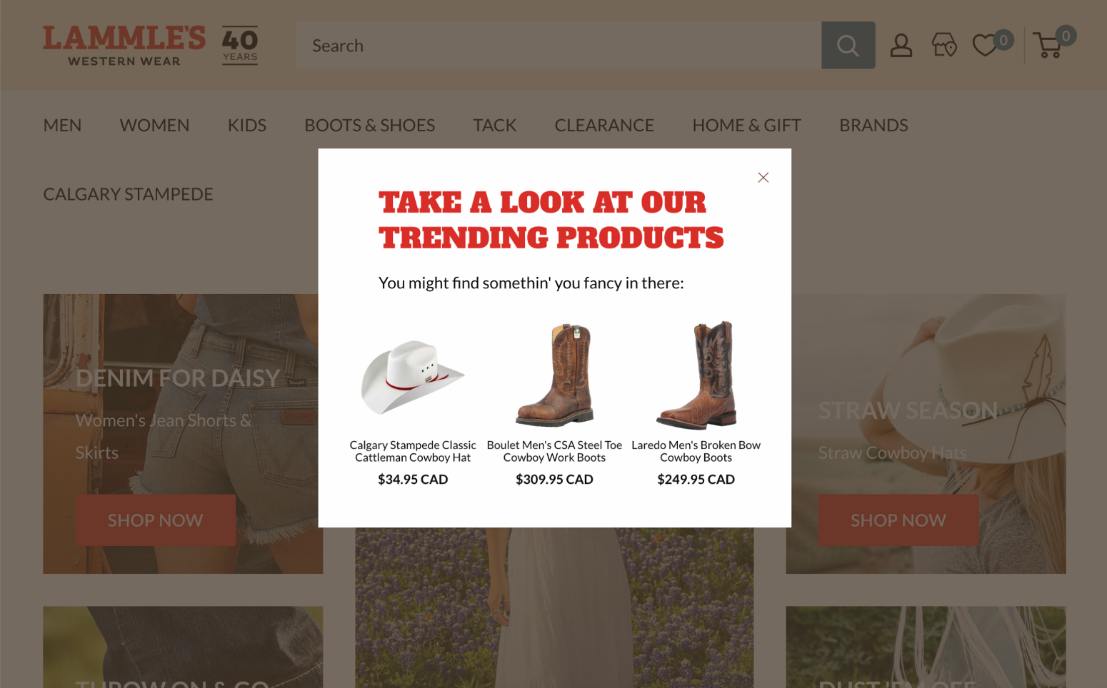 Media & Marketing – Lammle's Western Wear