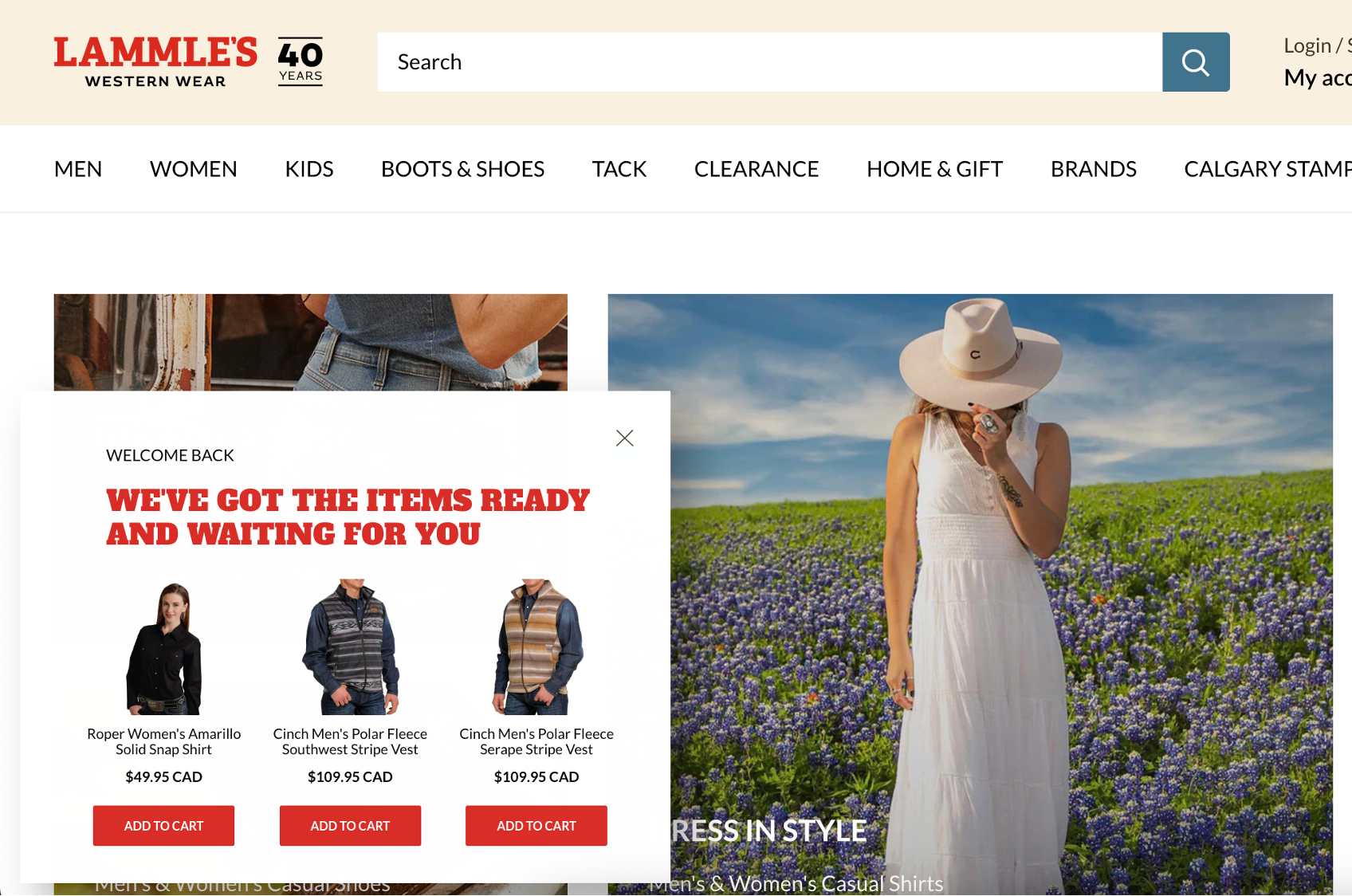 How Lammle's Boosted Online Sales by 23.5% Without Discounting - OptiMonk  Blog