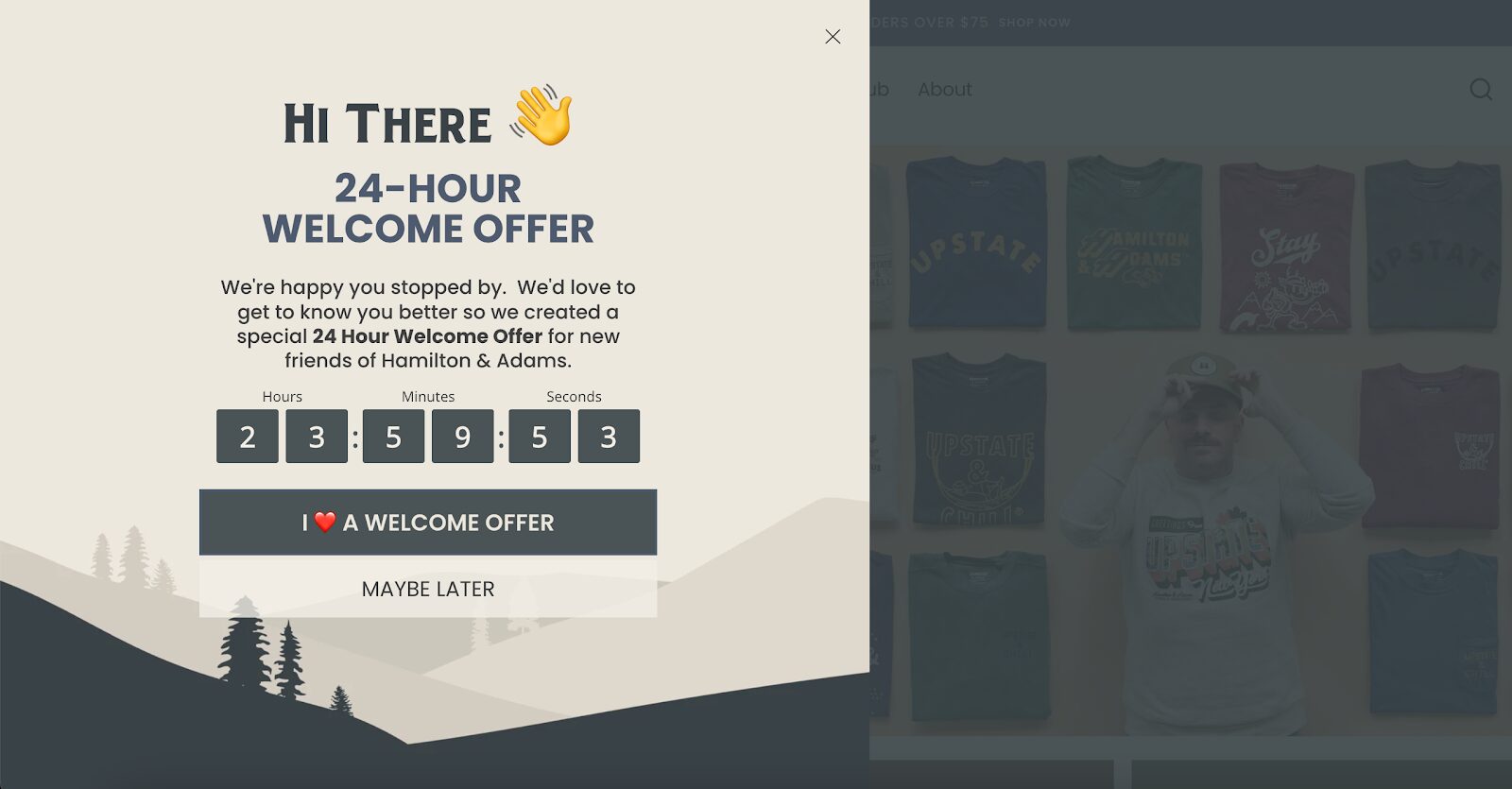 Hamilton & Adams' countdown timer form creates urgency with a 24-hour offer