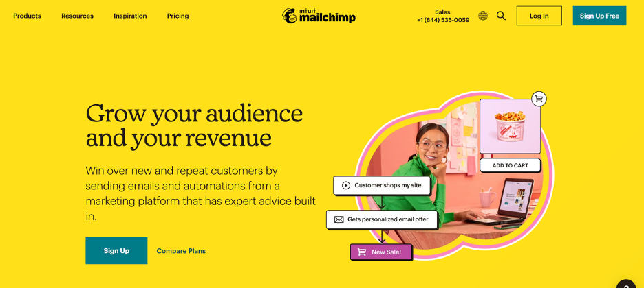 Mailchimp lead generation tool