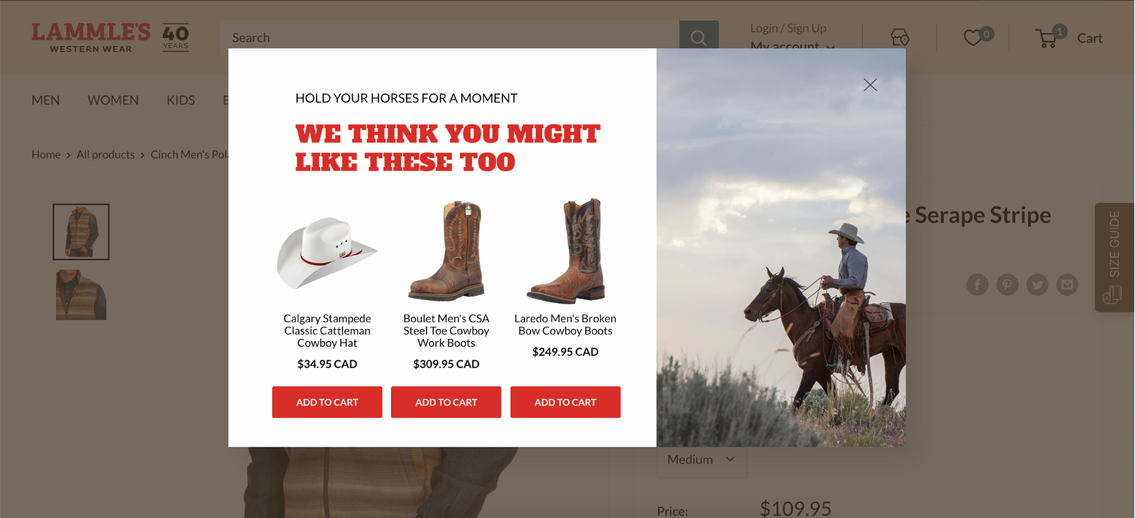 Lammle's pop-up notification example