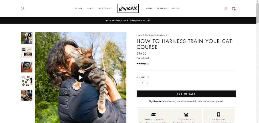 5 Online Business Ideas to Start in 2022 (Using Shopify, Printful & Other Tools) online business ideas 03 - 5 Online Business Ideas to Start in 2022 (Using Shopify, Printful & Other Tools)