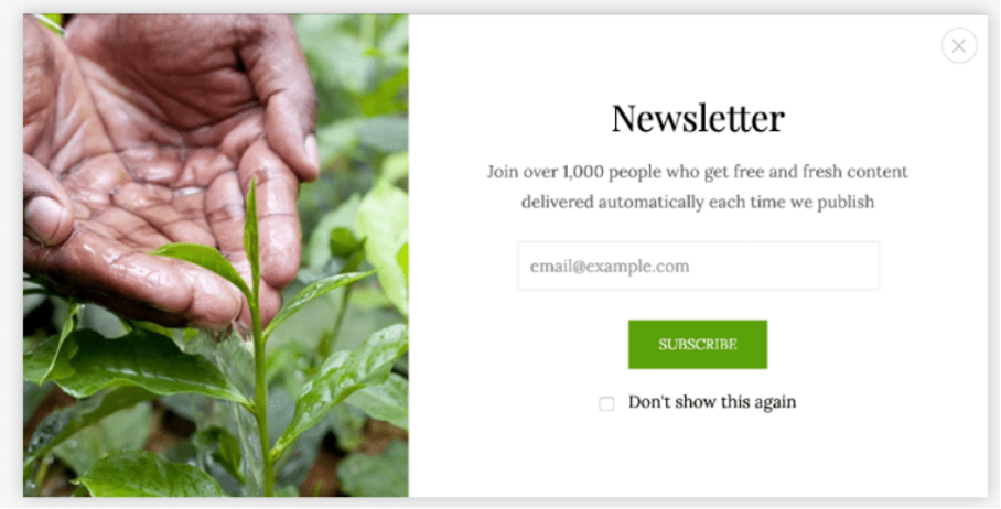 10 Best OptinMonster Alternatives for 2022 optinmonster alternatives popup maker - 10 Best OptinMonster Alternatives for 2022
