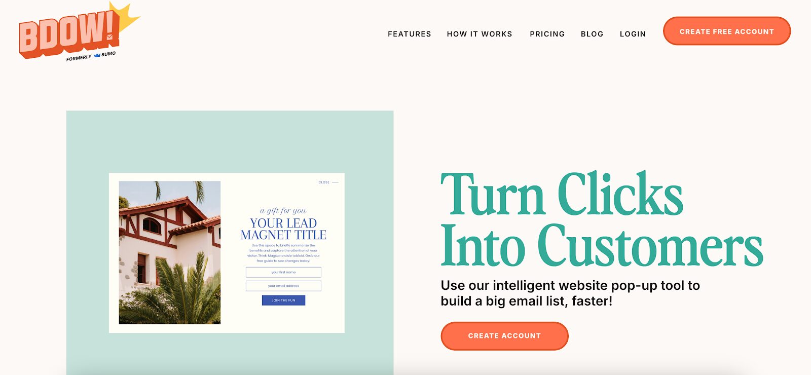 BDOW!’s email opt-in popup, showcasing a simple form for newsletter subscription on a blog to increase conversion rate.
