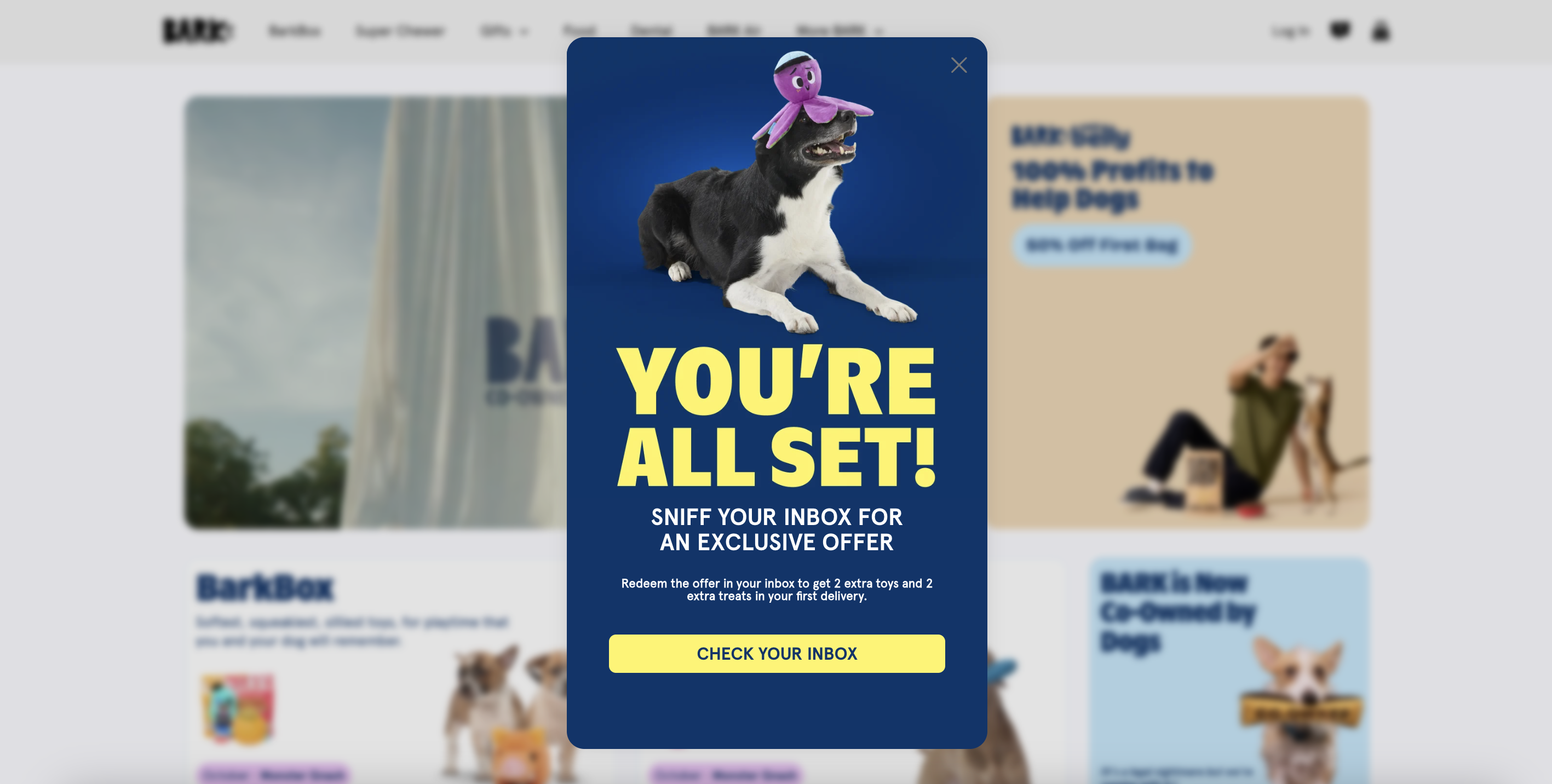 The last page of the multi-step popup