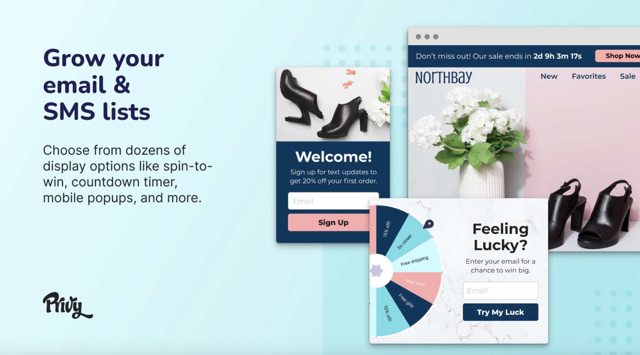 Privy Shopify popups