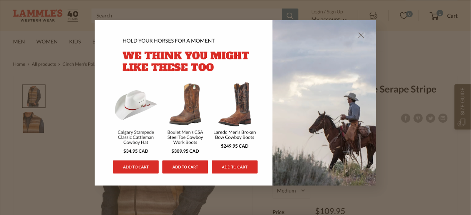 Lammle's recommend products based on customers carts and which are frequently bought togethr.