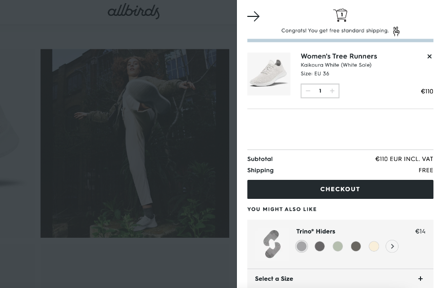 Allbirds shopping cart design