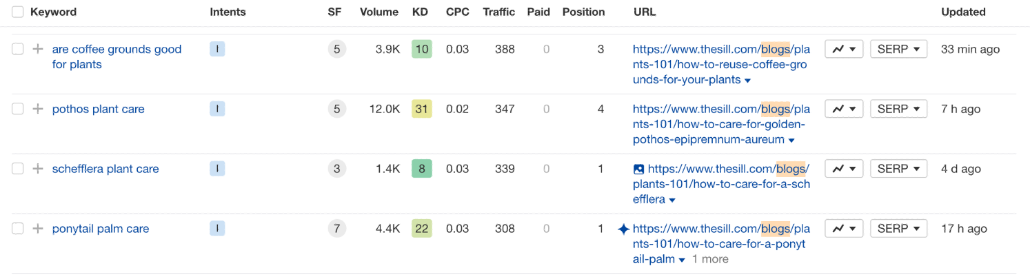 The Sill organic keywords