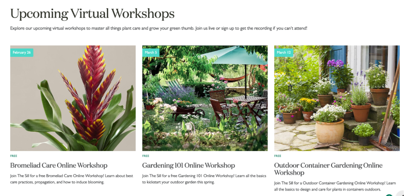 The Sill online workshops